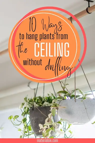 10 Ways To Hang Plants From The Ceiling Without Drilling - How To Hang Something From The Ceiling Without Drilling A Hole
