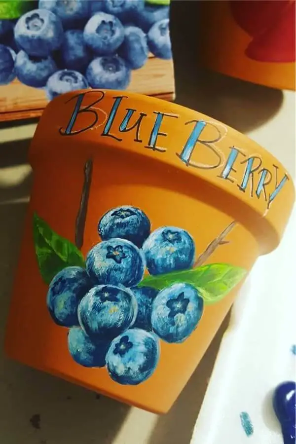 Blue Blueberries on A Bare Clay Pot