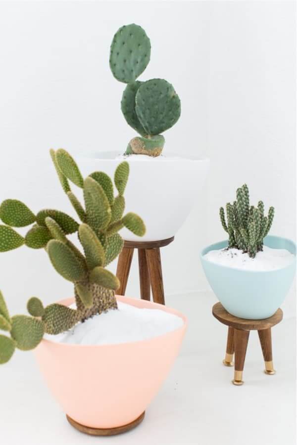 diy cactus holder tutorial