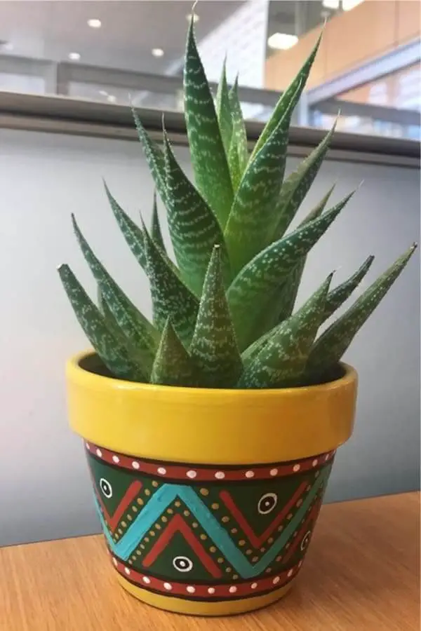 Tribal Looking Aloe Pot