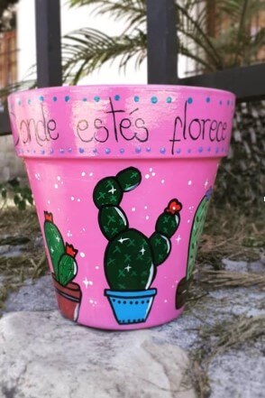 Cactus in Pots for Your Pots