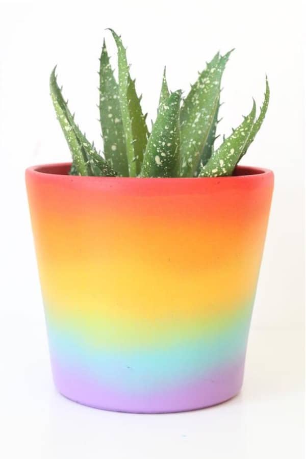 gradient painted flower pot