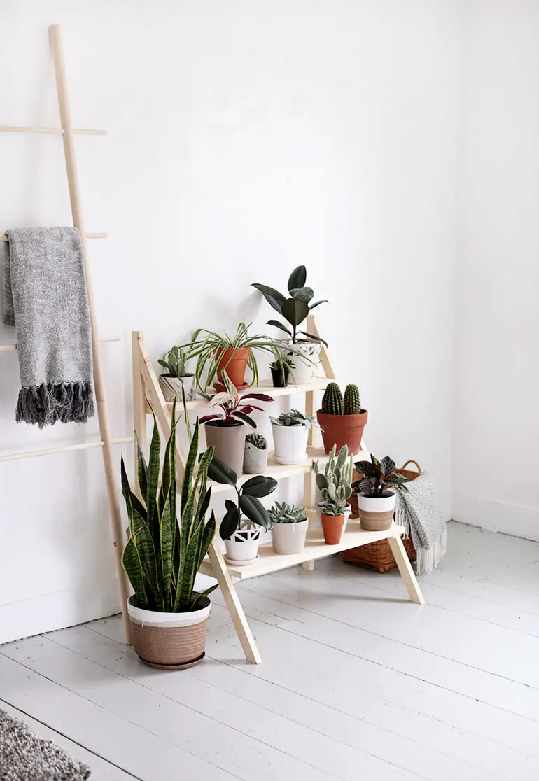 DIY Ladder Plant Stand