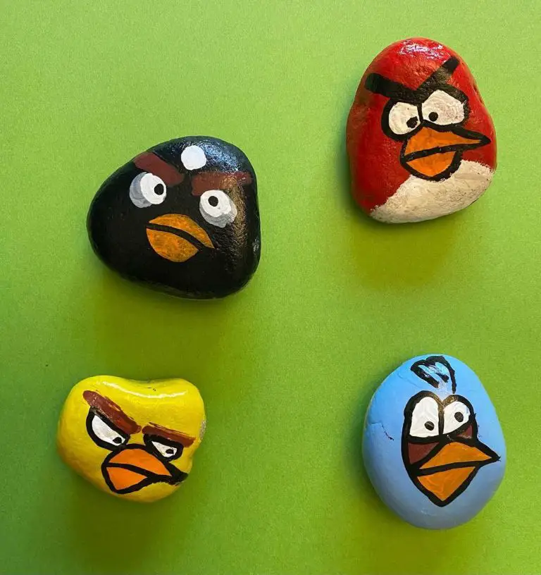 Angry Bird - cute rock painting