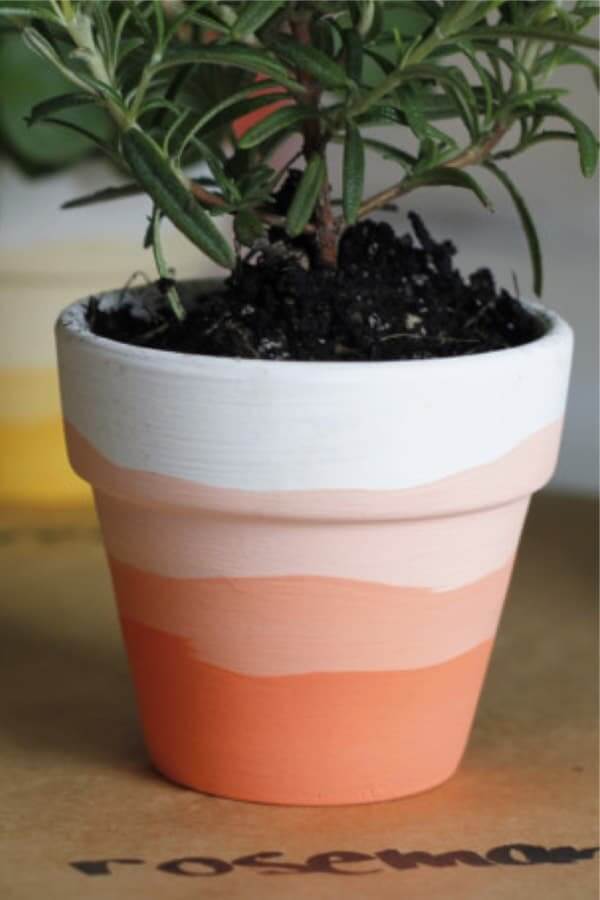 ombre painted mini clay pots