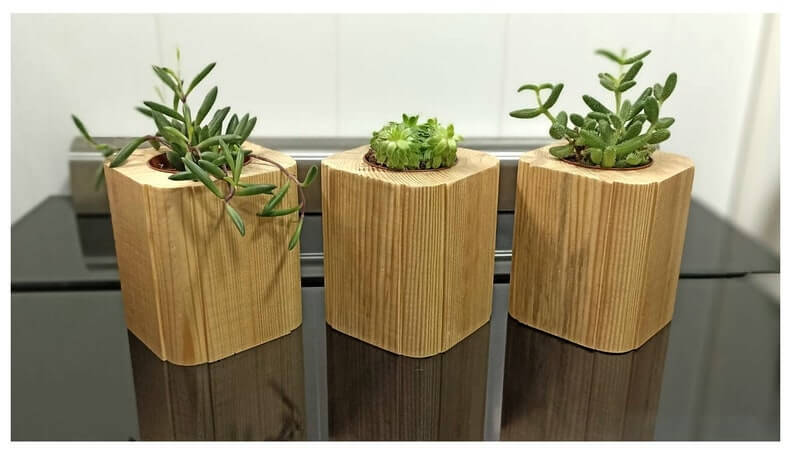 DIY Wooden Pot for Succulent
