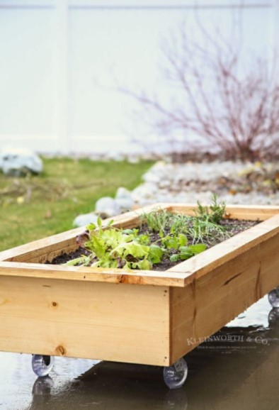 rolling-planter-out-of-wood