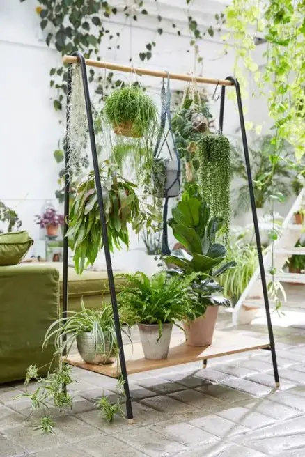 how to hang plants indoors