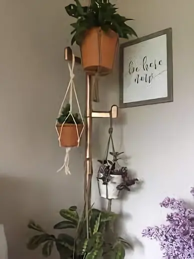 how to hang plants indoor