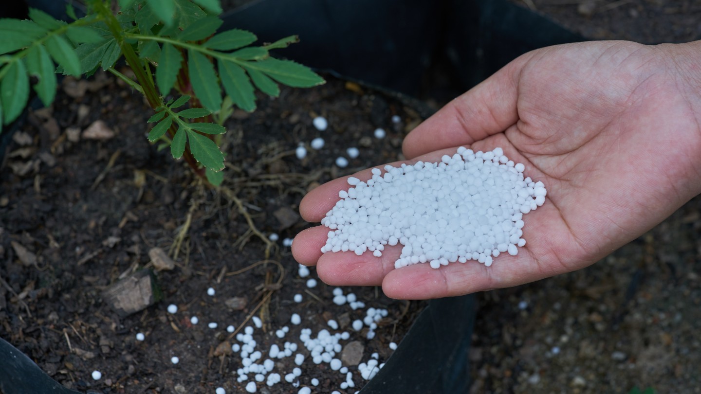 high-nitrogen-fertilizers - Effective ways to eliminate stickers in your yard