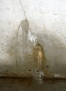 How To Fix A Leaky Basement Wall From The Inside (Complete Guide)