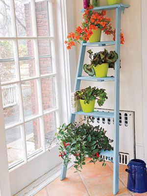 how to hang plants from the ceiling without drilling- plant-stand-ladder-craft