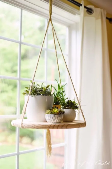 how to hang plants from the ceiling - floating shelves