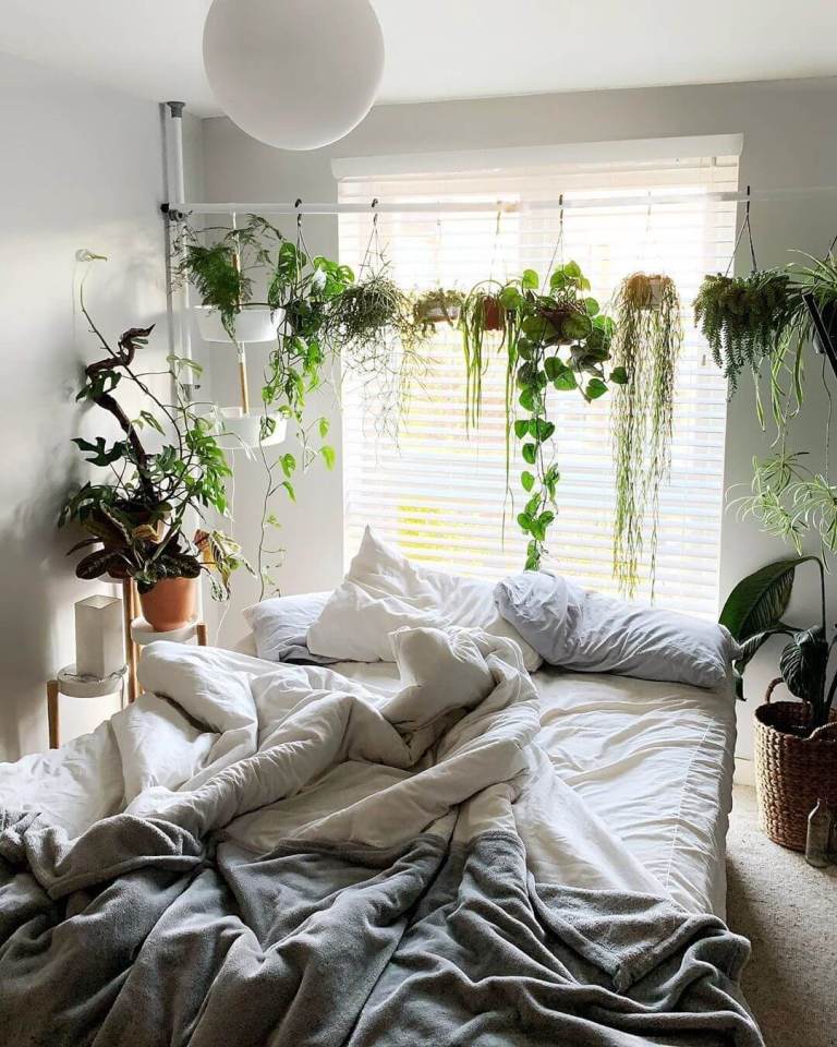 how to hang plants from the ceiling without drilling