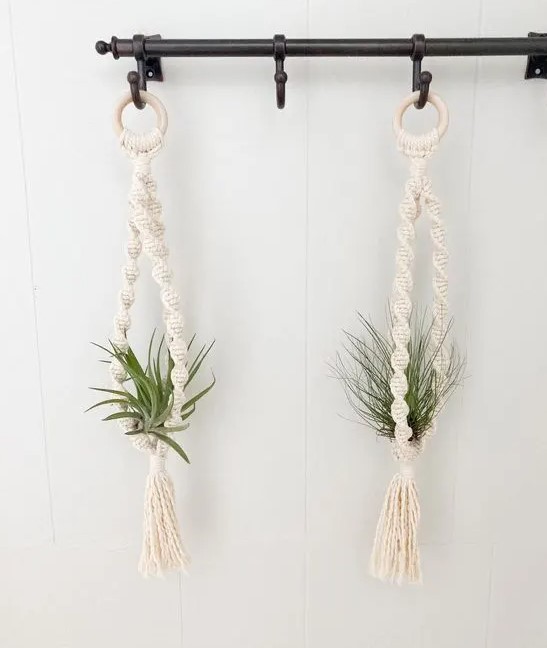 how to hang plants from ceiling