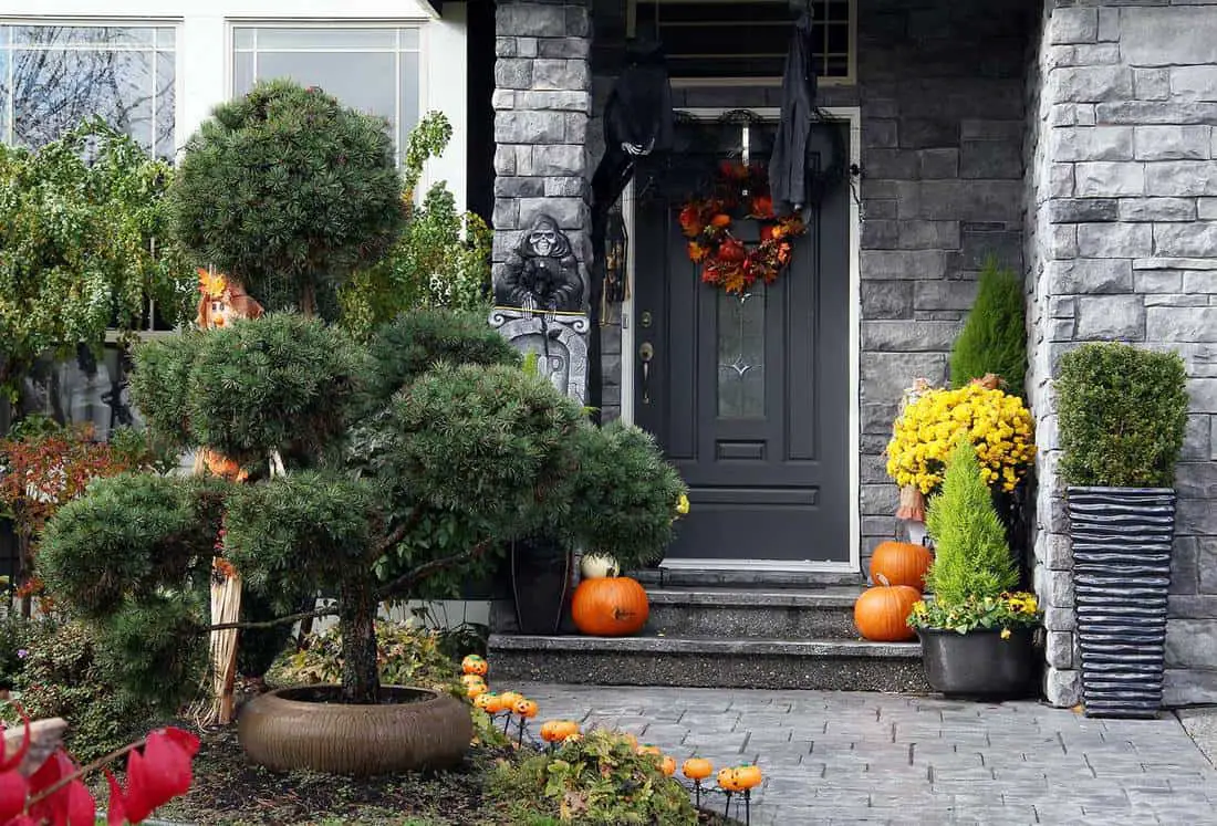 Black front door to a gray decorated house