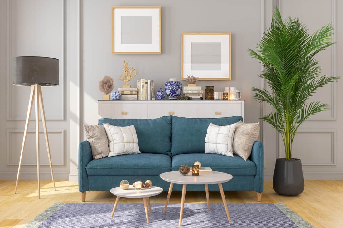 Living Room Interior with Grey walls and blue couch