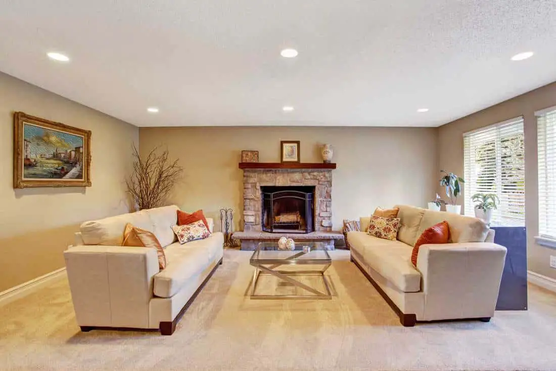 two sofas in living room