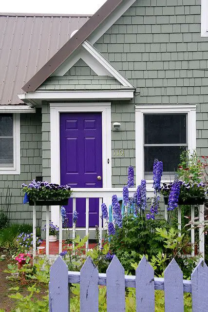 purple door for a gray house