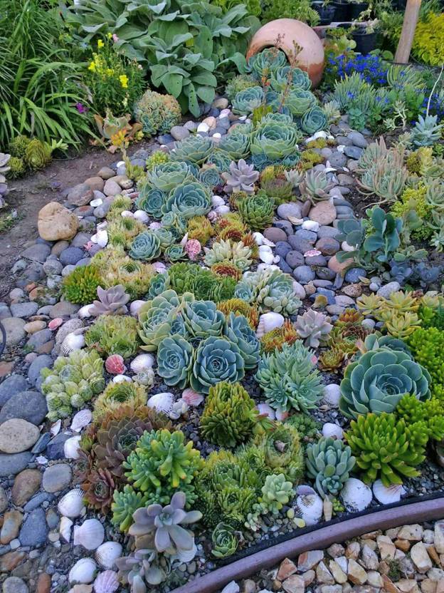 Rock Garden to Spruce up Your Modern House