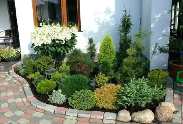  Low-Maintenance Shrubs - Corner Garden Ideas