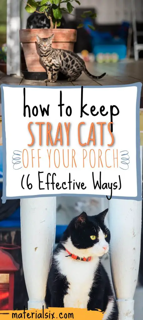 How To Keep Stray Cats Off Your Porch 6 Clever Ways Materialsix