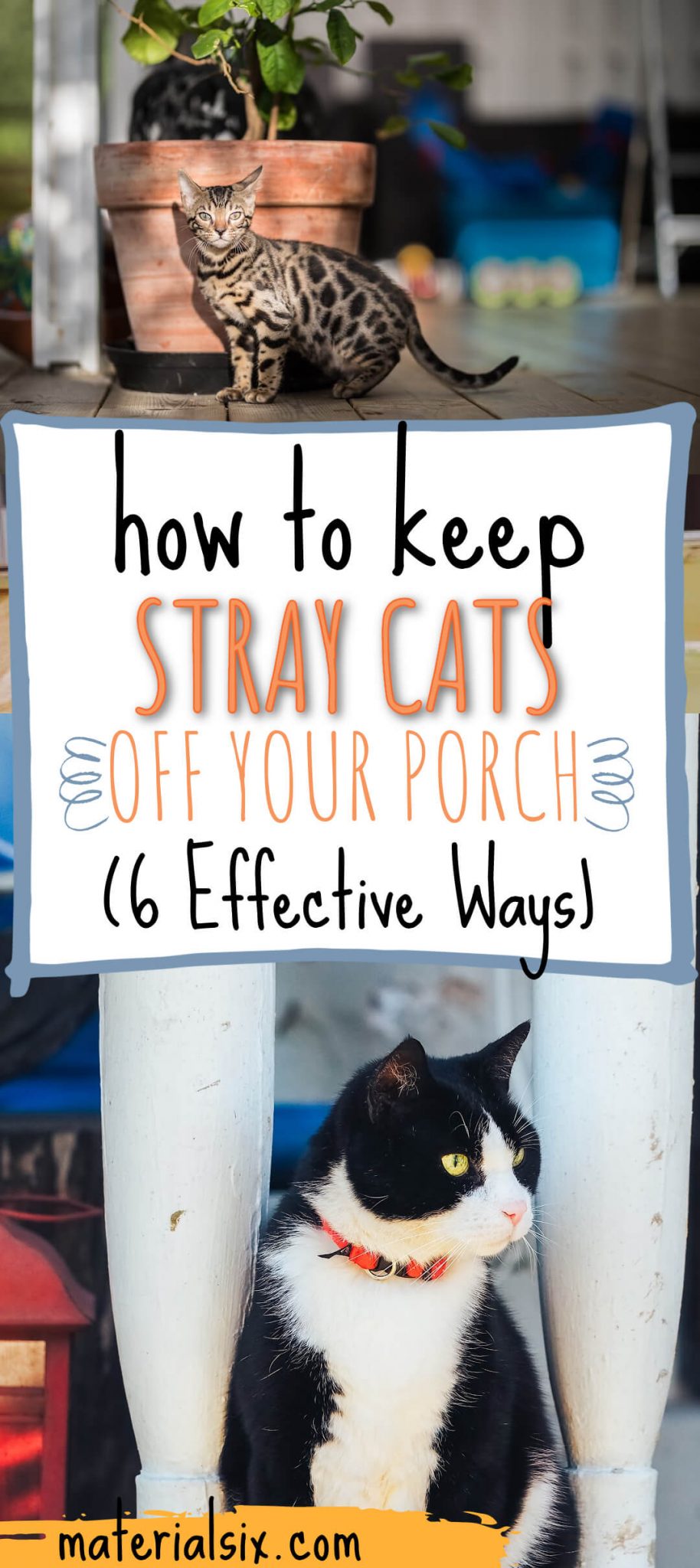 How To Keep Stray Cats Off Your Porch (6 Clever Ways) MaterialSix