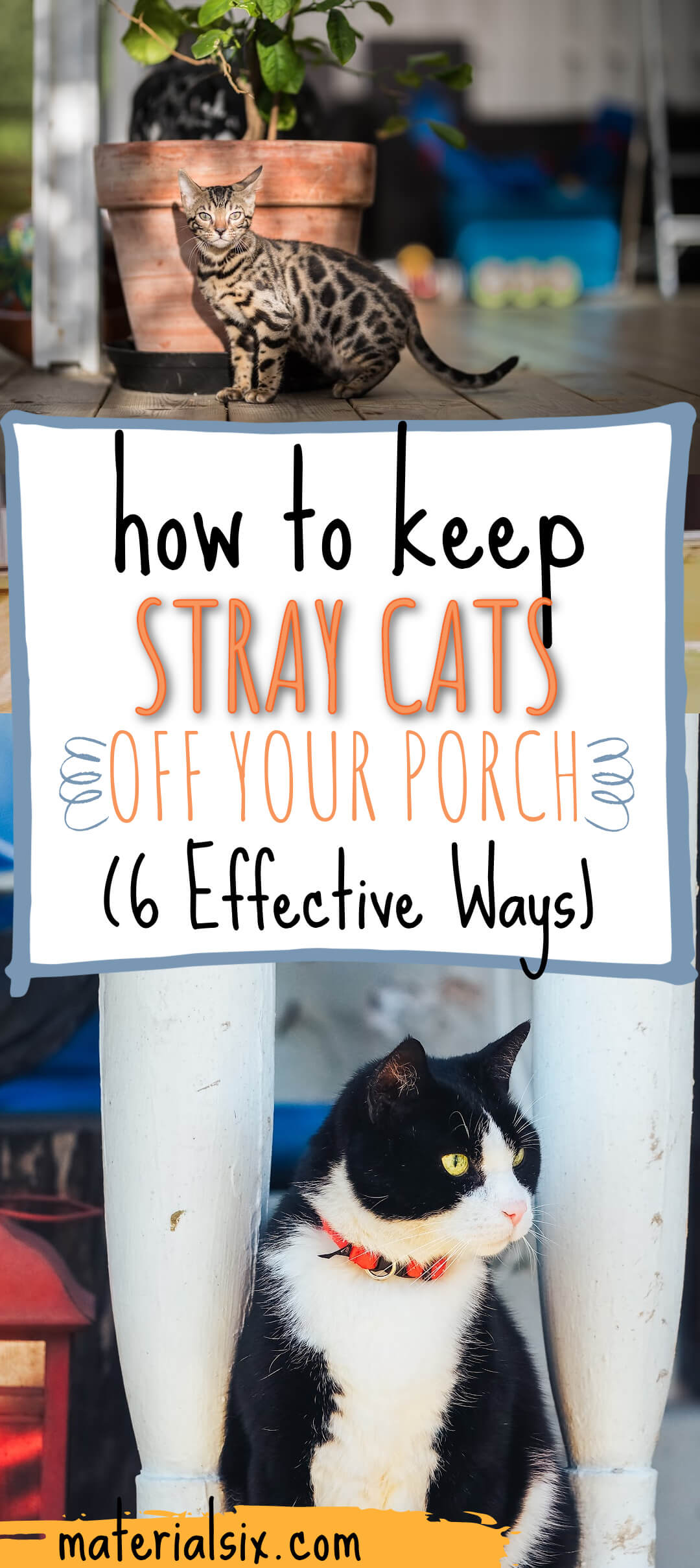 How To Keep Stray Cats Off Your Porch (3) (1)