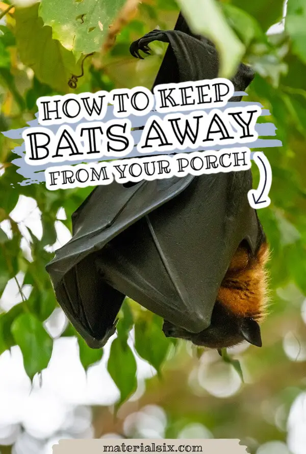 How to Keep Bats Away From Your Porch