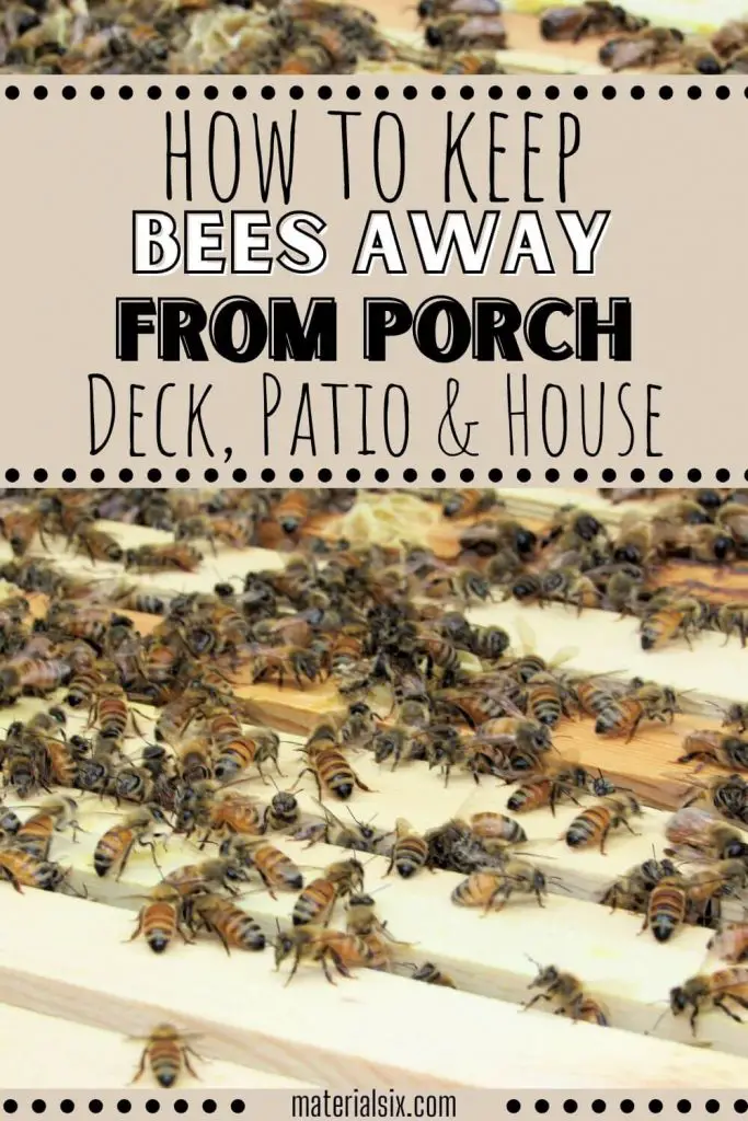 10 Tips for Keeping Bees Away from Porch, Deck, Patio and House