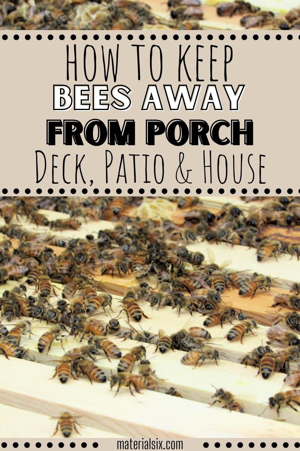 How to Keep Bees Away From Porch
