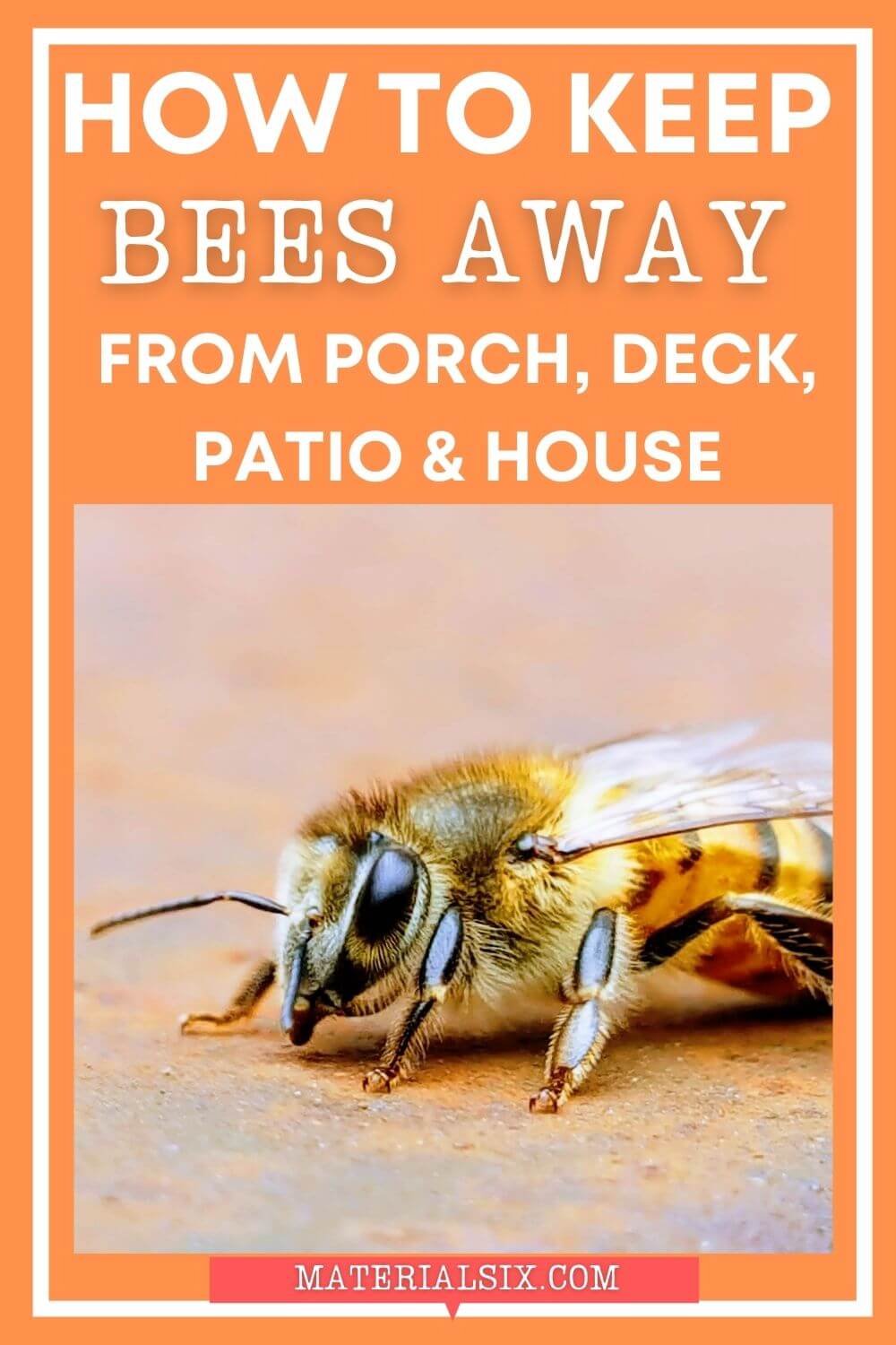 How to Keep Bees Away From Porch, Deck, Patio