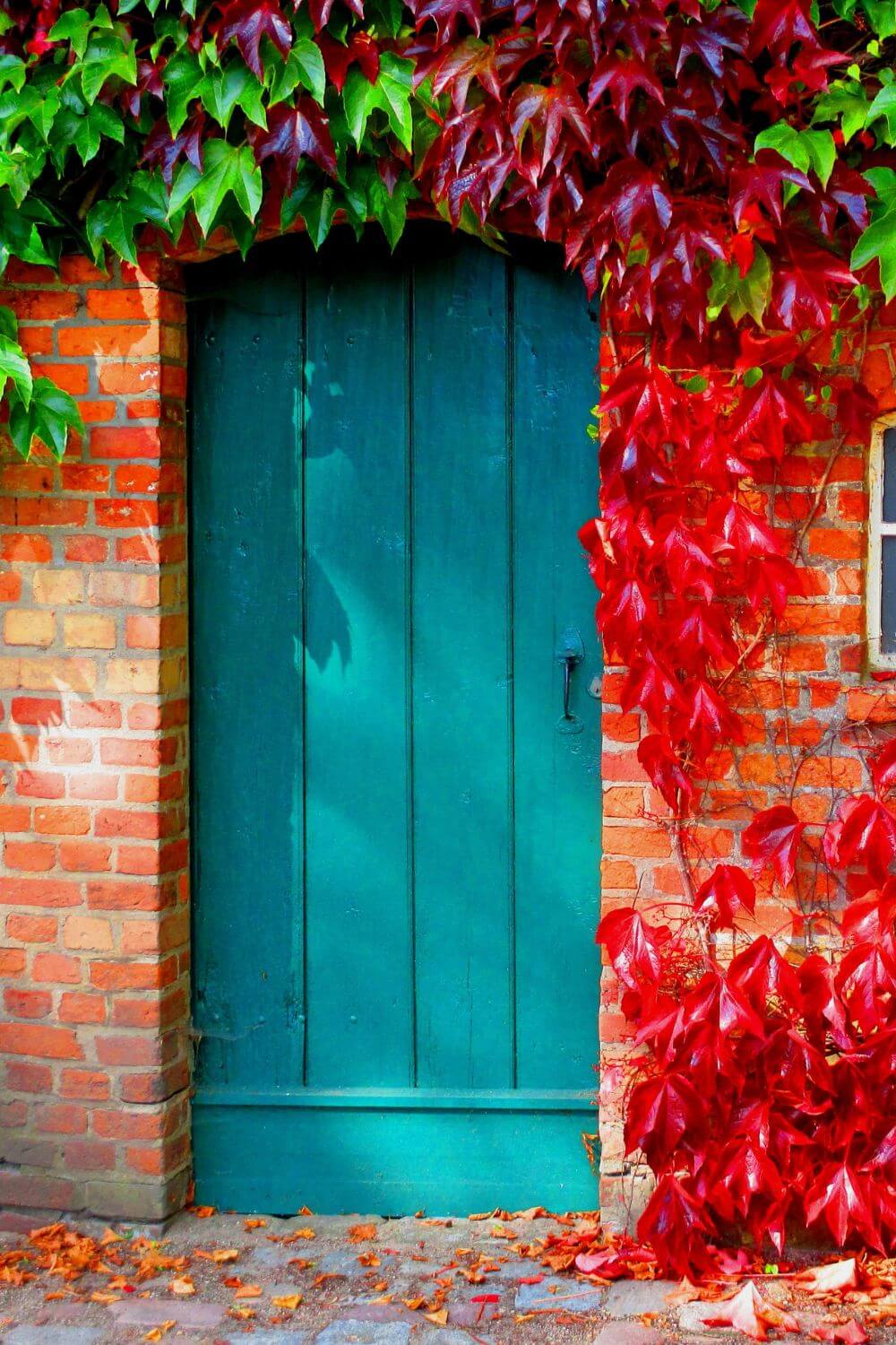 40+ Stunning Front Door Color Ideas For Red Brick House