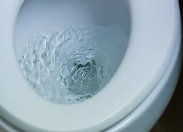 How To Flush Poop That Is Too Big To Flush