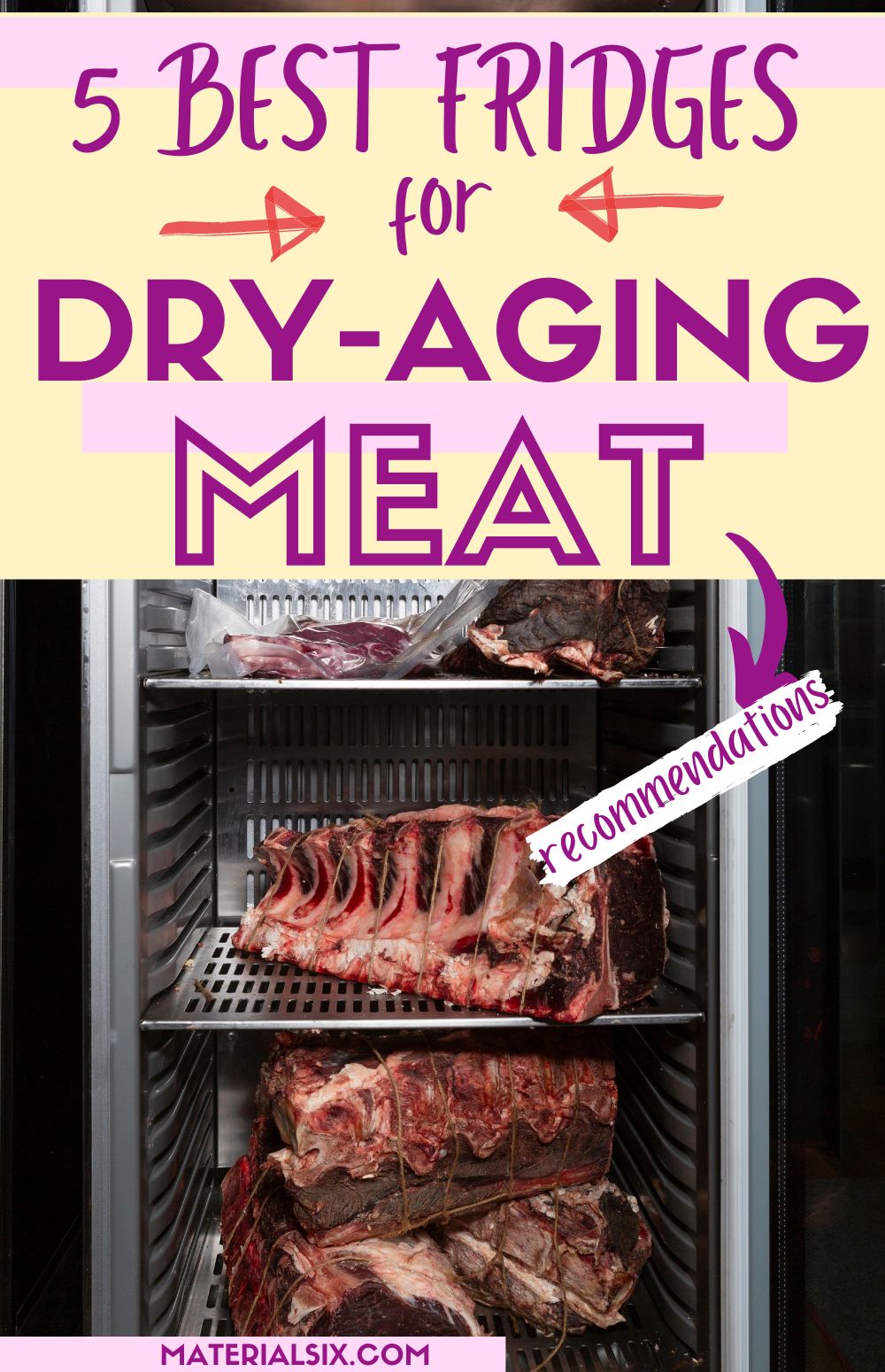 Best Fridge for Dry Aging Meat (Top 5 Picks)