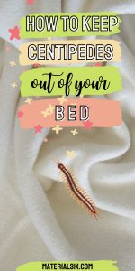 How To Keep Centipedes Out Of Your Bed (8 Helpful Tips)