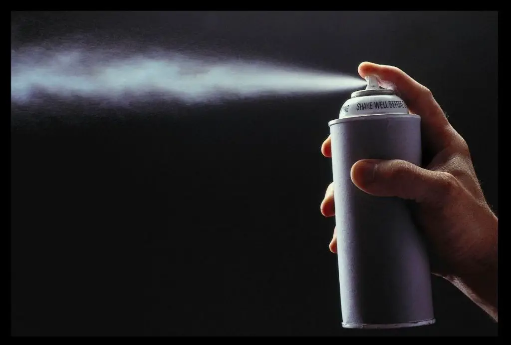 Can I Sleep in My Room After Spraying Raid? (Explained)