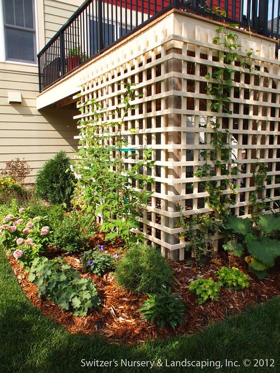 Dense Patio below the Deck - Under Deck Landscaping Ideas