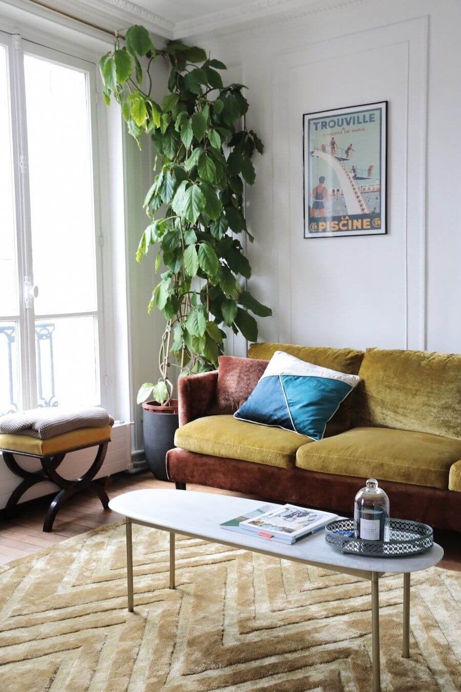 Velvet sofa and mid-century rug