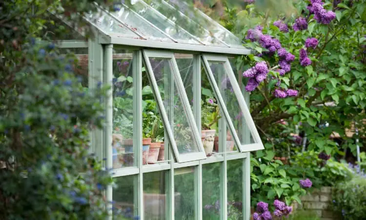 16 Shed Windows Ideas and Options - From Basic to Beautiful Design and Aesthetic Appeal