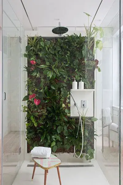 Vertical Gardens in Shower Spaces