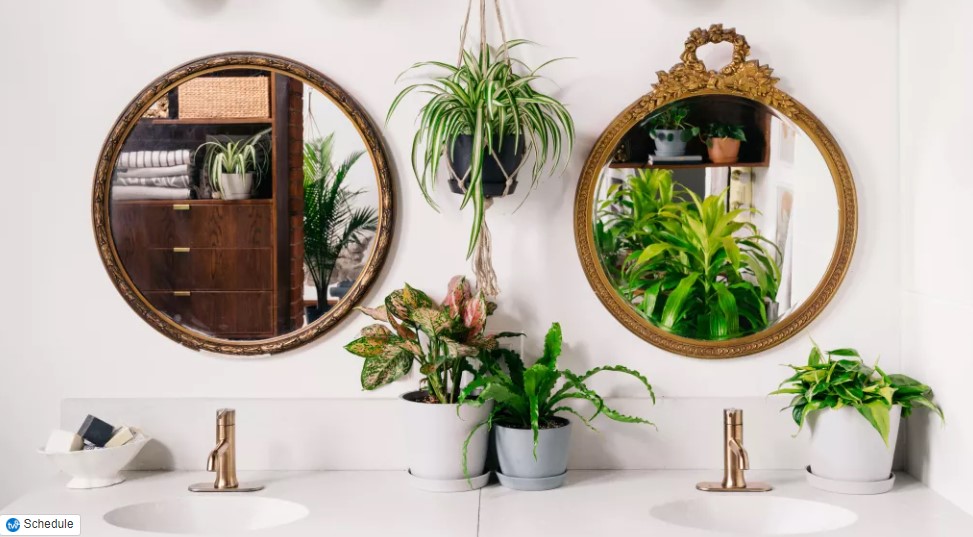 bathroom counter decor ideas - Potted Plants