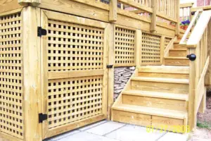 Lattice with a Twist
