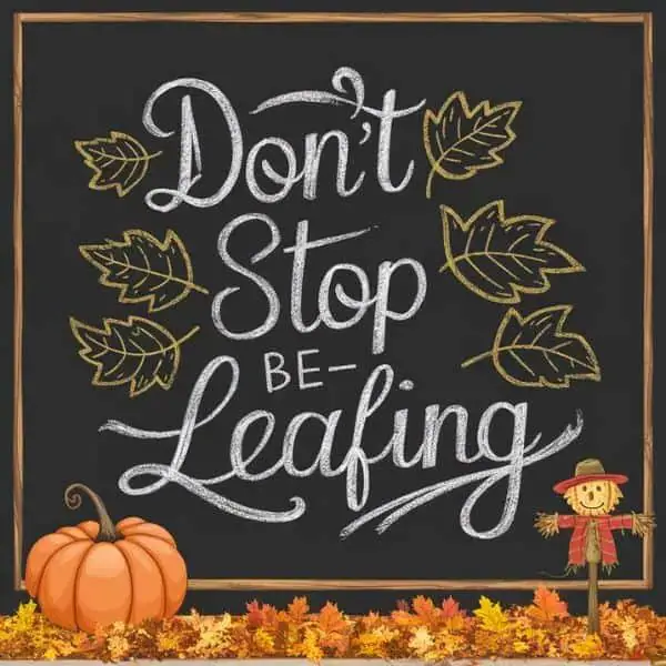 20 Creative Fall Chalkboard Art Ideas You Can DIY This Season! - 20. Your Personal Touch