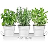 DAYYET Farmhouse Herb Garden Planter Indoor Window Planter Set with Tray, White Windowsill Herb Planter Pots with Drainage for Outdoor or Indoor Planters, Set of 3 DAYYET Farmhouse Herb Garden Planter Indoor Window Planter Set with Tray, White Windowsill Herb Planter Pots with Drainage for Outdoor or Indoor Planters, Set of 3