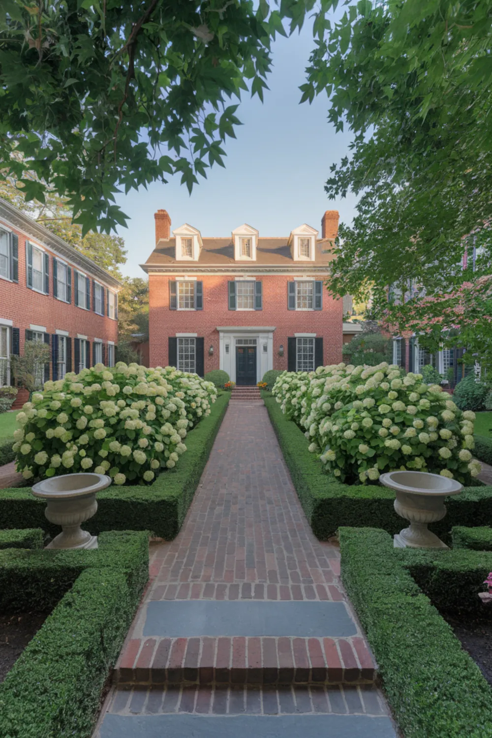 25 Limelight Hydrangea Landscaping Ideas for Beautiful Garden Borders and Hedges